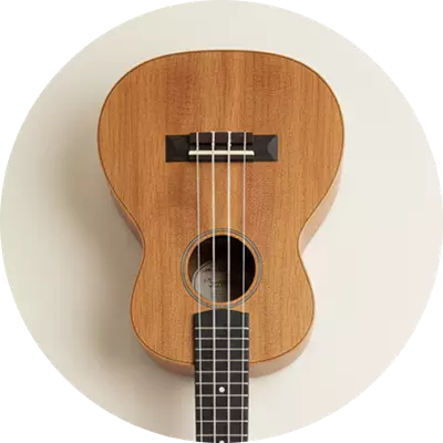 Guitars & Ukuleles
